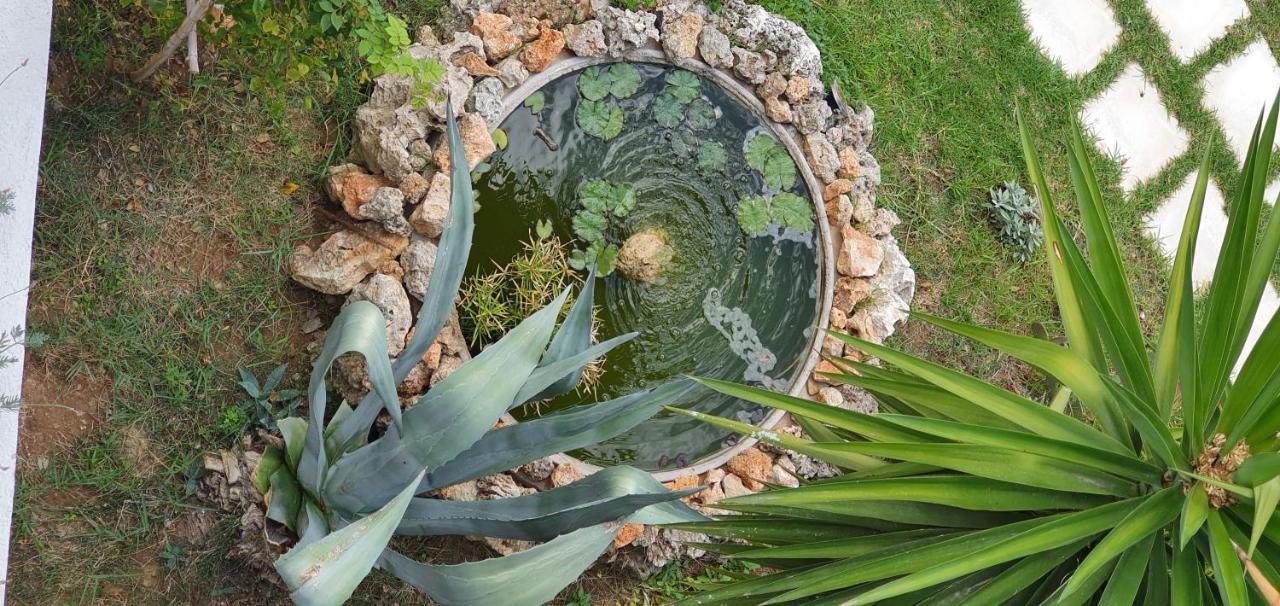 Irini Studios Georgioupoli Exteriér fotografie